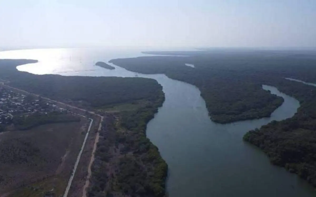 El río Tamesí cada vez tiene menos agua, situación que está afectando de forma directa la agricultura y ganadería en Altamira, Tamaulipas